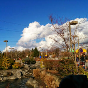 Meet your Posher, Anuja